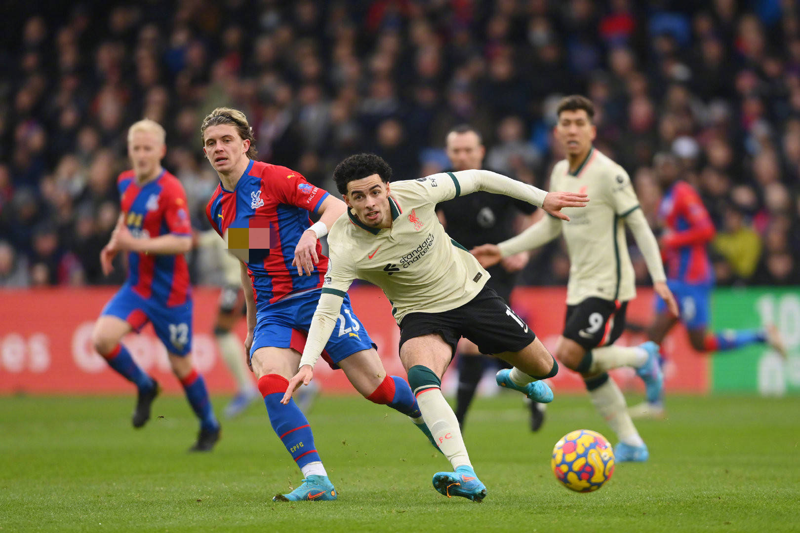 不仅在红白 不仅在红白